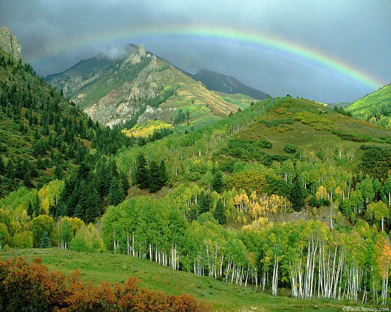 Иди к своей Мечте! Юрий Савранский